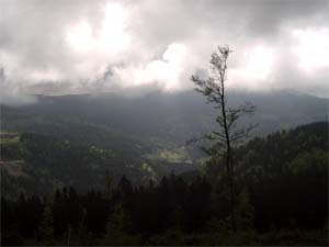 The AMF helped scientists collect data about orographic precipitation, which is common in the Black Forest, particularly in the summertime.