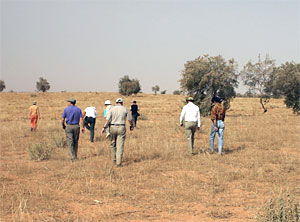 Members of the AMF science team scout out the ancillary site in the Sahel terrain outside of Niamey.  Sahel is an Arabic word for "border" or "margin" and accurately describes the transition zone between the arid Sahara to the north, and the wetter, more tropical area to the south.