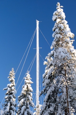 A frosty 127-meter tower peers over the Scots Pine forest throughout the BAECC campaign in northern Finland. 