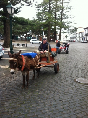 A common sight on the steep cobbled roads of Graciosa Island are carts drawn by donkeys. 