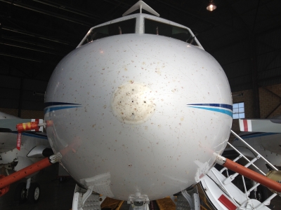 The nose of the aircraft after a flight, with more evidence of large insect populations above Oklahoma. The five holes at the very front are the air ports for a "gust probe" to sense air motion. (The aircraft and external instruments are cleaned after every flight.)