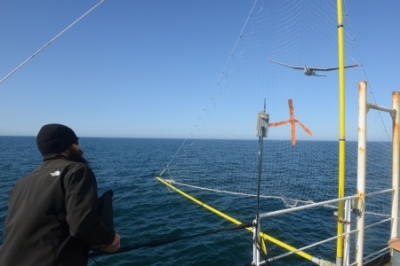 A UAS operator guides a Puma All-Environment UAS into a catch net mounted on the Coast Guard Cutter Healy during an exercise in the Arctic Aug. 23, 2014. Researchers from the Coast Guard Research and Development Center in New London, Conn. and the NOAA deployed the UAS to test its capabilities in the Arctic (Coast Guard photo by Petty Officer 1st Class Shawn Eggert).