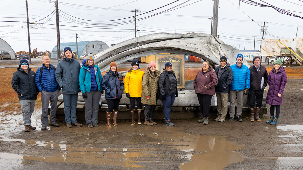 Thirteen people stand in front of a giant bone with a plaque in the middle titled The Bowhead Whale.