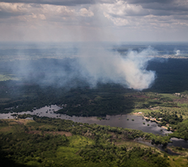 Scientists Uncover Source of Tiny Amazonian Particles