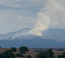 Probing Wet Fire Smoke in Clouds: Can Water Intensify the Earth’s Warming?