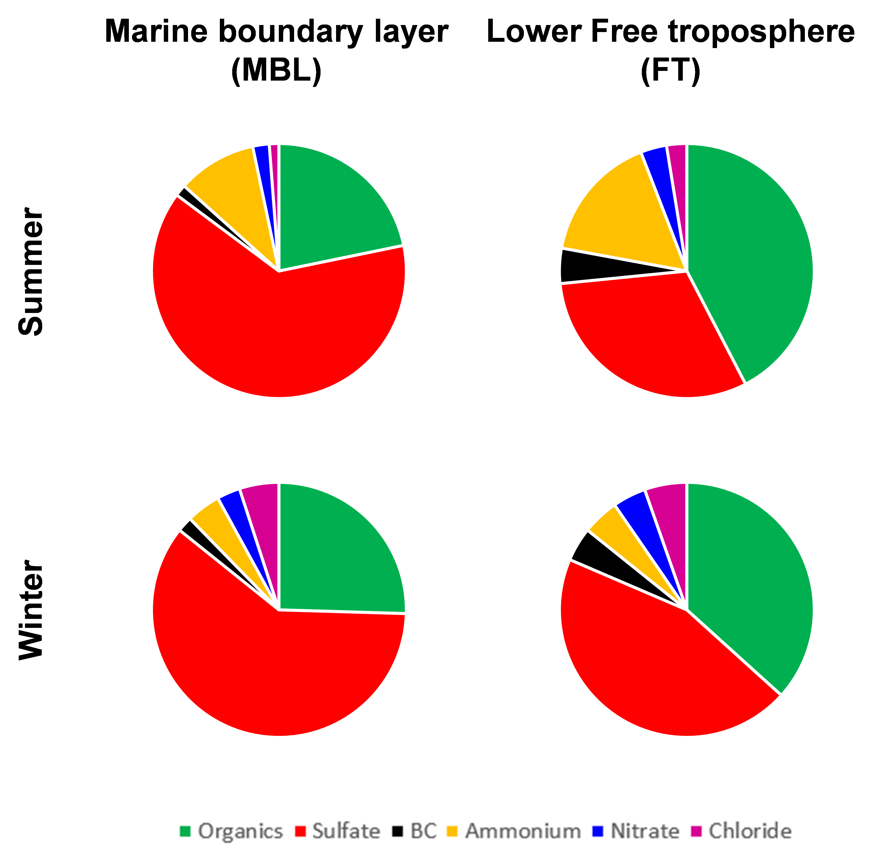 Aerosol compositions measured during ACE-ENA