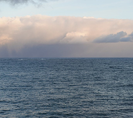 Clouds and Precipitation: Advice to ARM From Experts