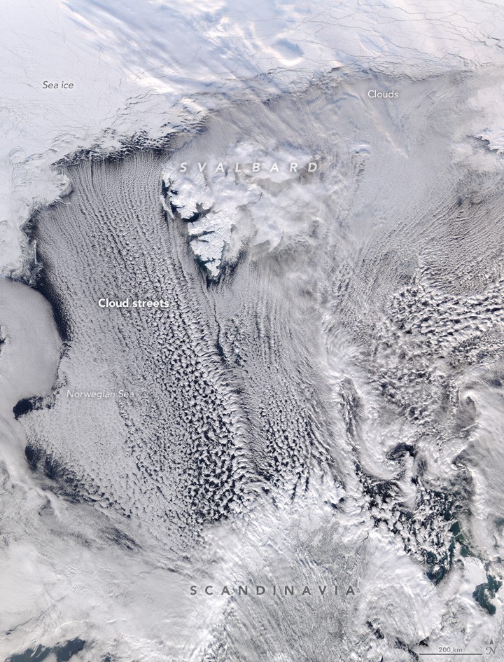 Cloud streets over Norwegian Sea