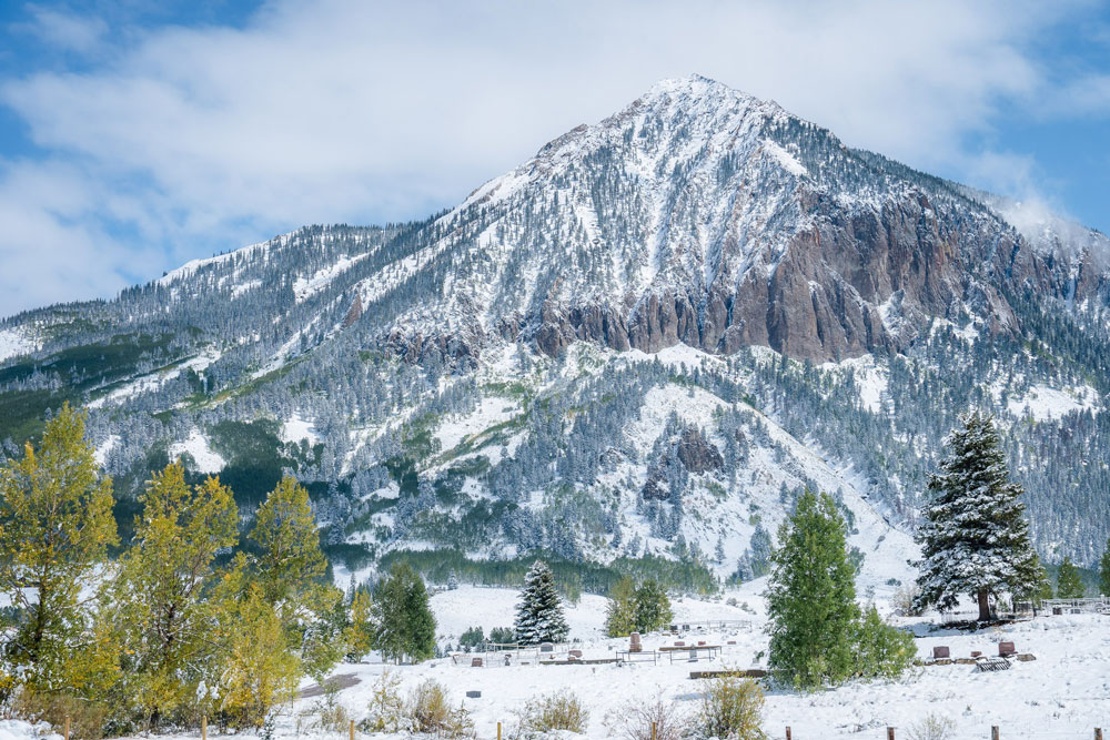 The photo shows a snowy landscape--ground, trees, and Gothic Mountain.