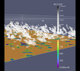 LASSO Case Study: Simulations Sharpen View of Cloud Cover