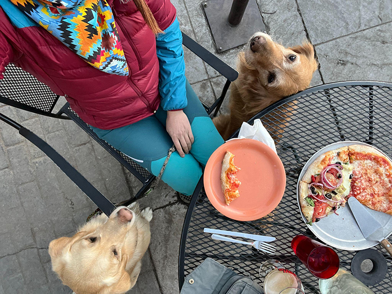 Two golden retrievers sit next to Jessie Creamean and look up as if they are begging for food. A pizza crust sits on a peach-colored plate, and four more slices of pizza sit uneaten on a pizza pan.
