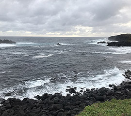 Share Your Ideas on Growing LASSO Part 2: An Eastern North Atlantic Option