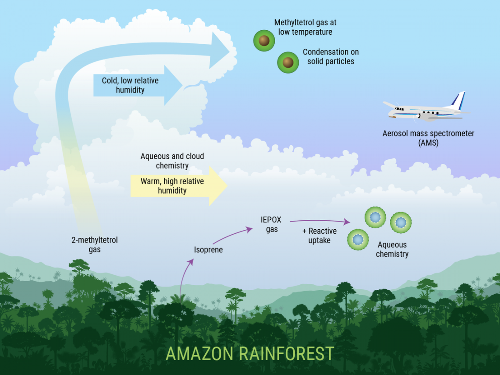 atmospheric processes in the Amazon rainforest