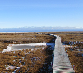 Solid Aerosols Found in Arctic Atmosphere Could Affect Cloud Formation and Climate