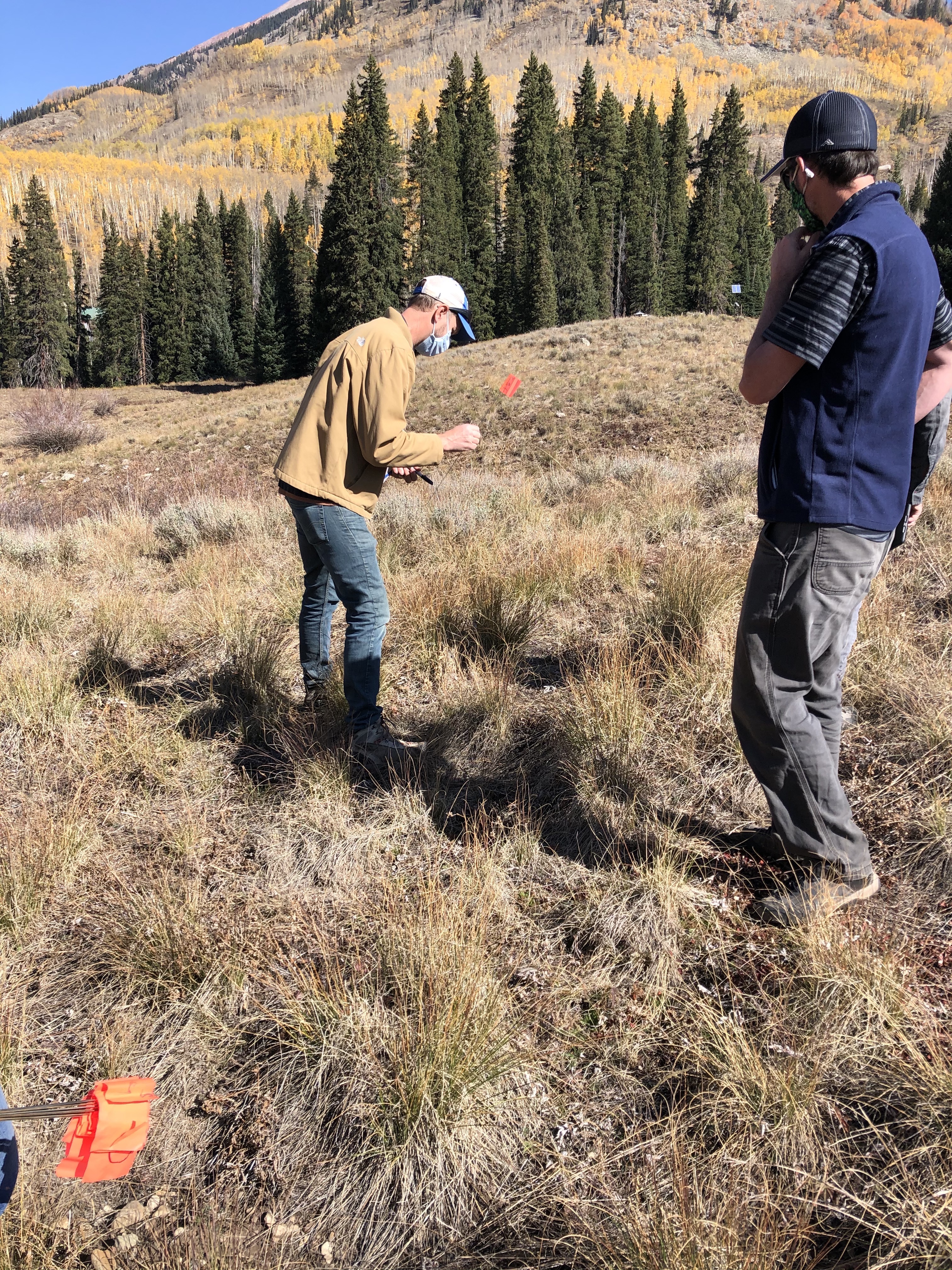ARM team members Heath Powers and John Bilberry lay down markers for instruments at Rocky Mountain Biological Laboratory in Colorado