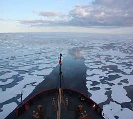 Share Your Ideas on Growing LASSO Part 3: An Arctic Option