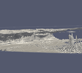 Share Your Ideas on Growing LASSO Part 4: Continental Deep Convection