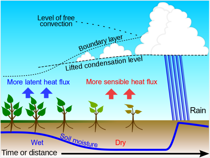 Graphic of boundary-layer clouds that shows complex interactions of atmosphere and land