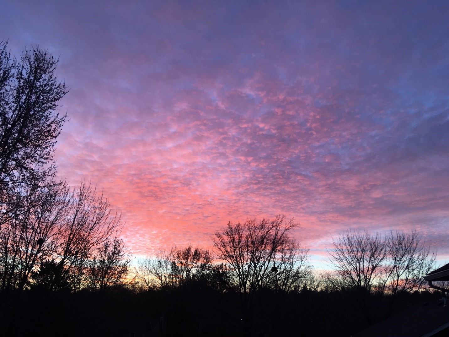 Winter sunset photo by David Mechem