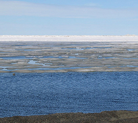 An Arctic Sea Ice Surprise