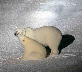 MOSAiC Blog: Goodbye and Good Luck, Polarstern