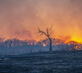 Scientists Examine the Black Carbon Impacts of Wildfires and Biomass Burning
