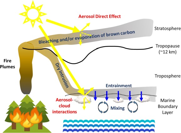 Diagram shows long-range transport of North American wildfire smoke to a eastern North Atlantic marine location