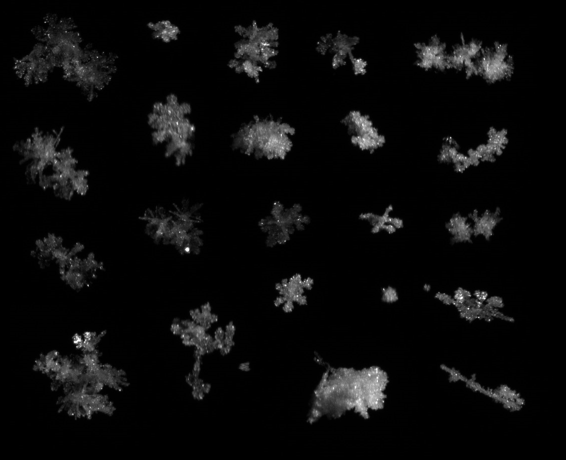 Images of snowflakes on black background