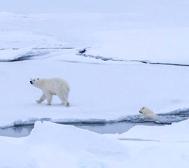MOSAiC Blog: We Found Our Floe!