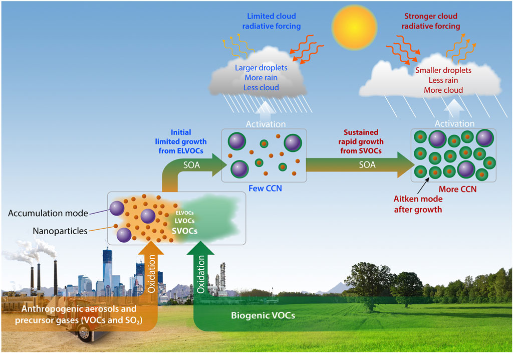 The graphic shows how biogenic VOCs, aerosols from human activities, and precursor gases interact to produce cloud condensation nuclei. The illustration breaks down how few and more cloud condensation nuclei have different effects on clouds, rain, and cloud radiative forcing.