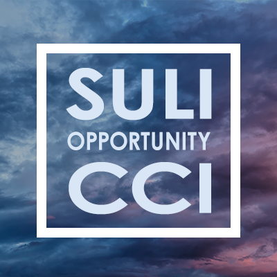 Graphic says, "SULI CCI Opportunity"