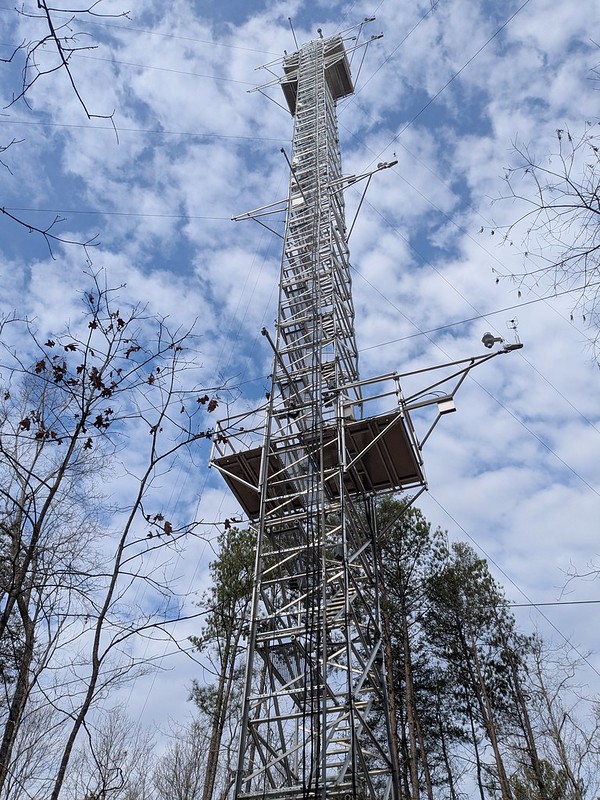 A tower stretches up toward the sky in between trees.